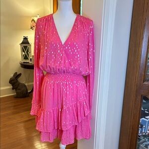 Lilly Pulitzer Aura Pink and Gold Cristiana Long Sleeve Dress 14